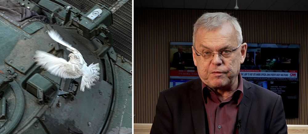 Delad bild. Till vänster: vit duva på militärfordon. Till höger: person i mörk kavaj inomhus.