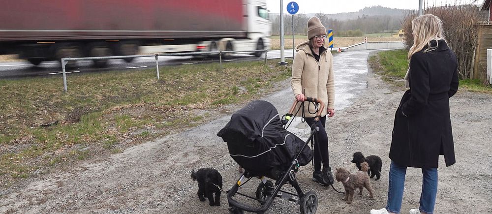 Två kvinnor står vid en väg där en lastbil åker förbi. En av kvinnorna har en barnvagn och tre hundar bredvid sig.
