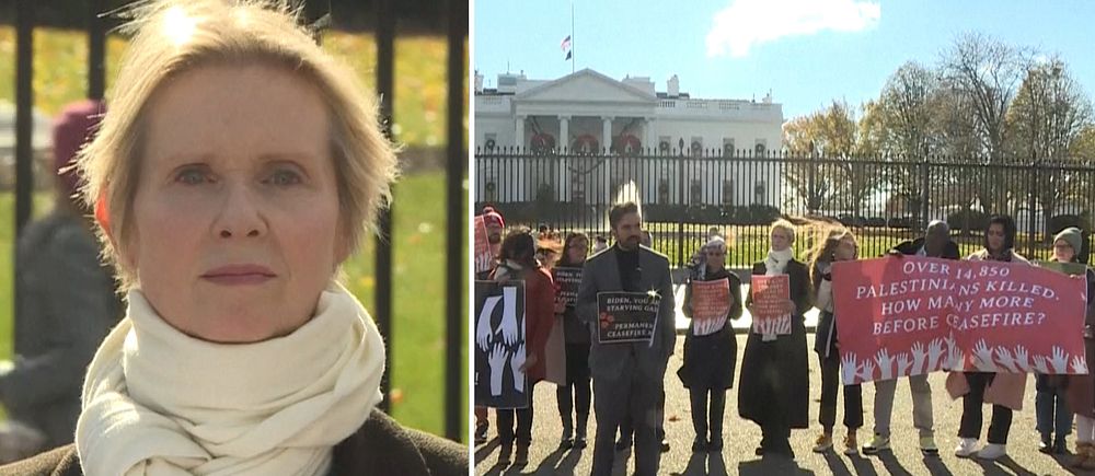 Cynthia Nixon hungerstrejkar