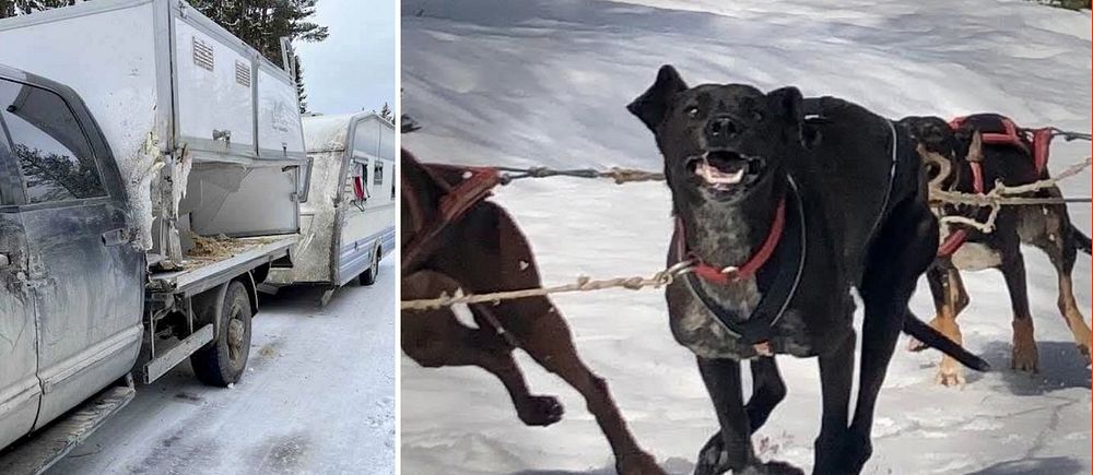 Tvådelad bild. Vänster: Krockade fordon på snöig väg. Höger: Hundspann i vinterlandskap.