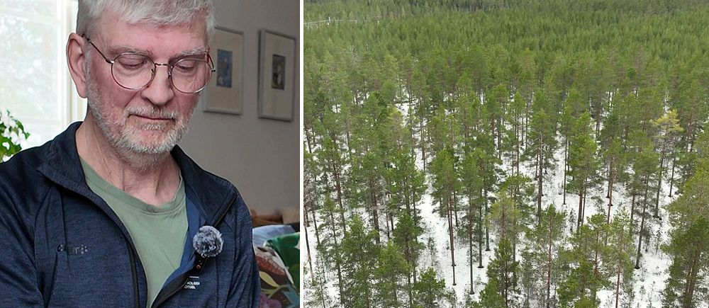 Delad bild. Till vänster: person håller mobil inomhus. Till höger: vinterlandskap med tallskog.