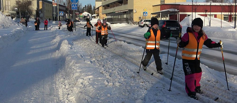 Barn på skidor i orangea västar åker skidor på led intill en bilväg.