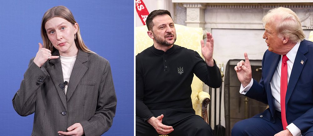 Delad bild. Till vänster: person teckenspråkar. Till höger: två män samtalar formellt i rum.