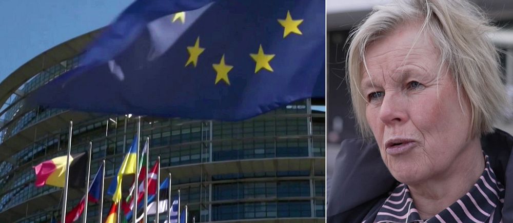 EU-flaggor och Ann-Cathrine Jungar. docent, Södertörns högskola.