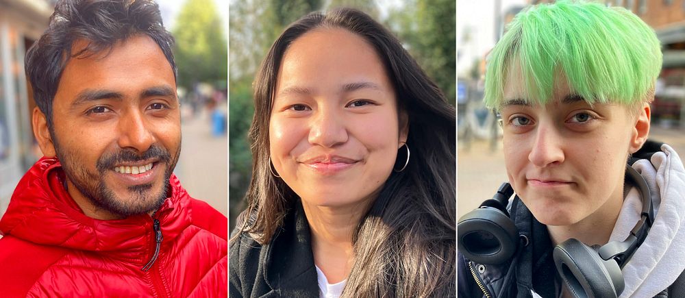 Trebild med porträtt på Skellefteåbor