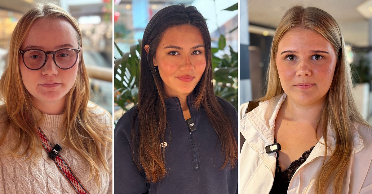 S&aring; ser unga norrbottningar p&aring; att allt fler pension&auml;rer forts&auml;tter jobba