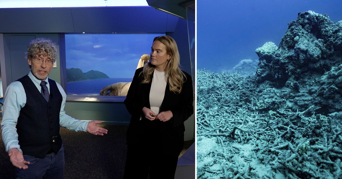 Mörka siffran: Planeten går mot 2,5 graders uppvärmning