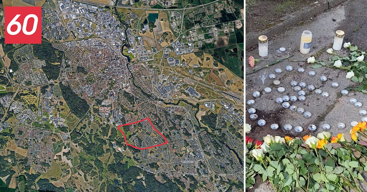 14-åring sköt ihjäl gängledare i Linköping – sex döms för mordet