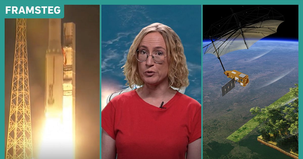Livsverket skickas upp i rymden för att väga världens skogar – en revolutionerande satsning