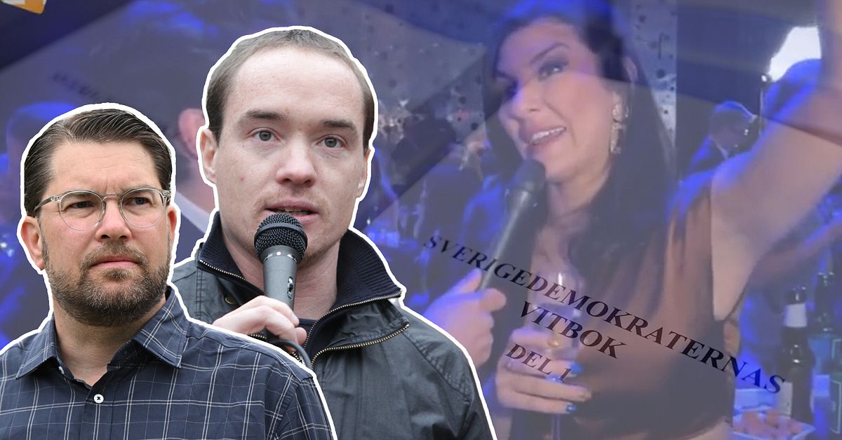 SD:s mörka rötter kartlagda – men vad har hänt efter vitbokens slut?