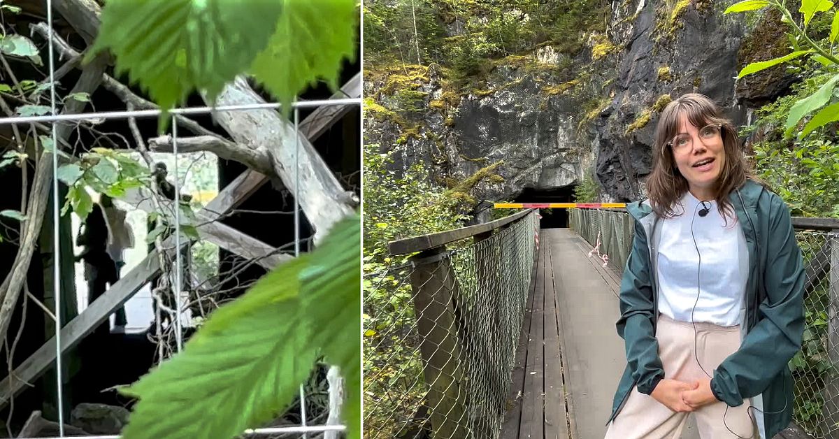 Turister struntar i avspärrningar – trots rasrisk vid gruvtunnel i Klackberg