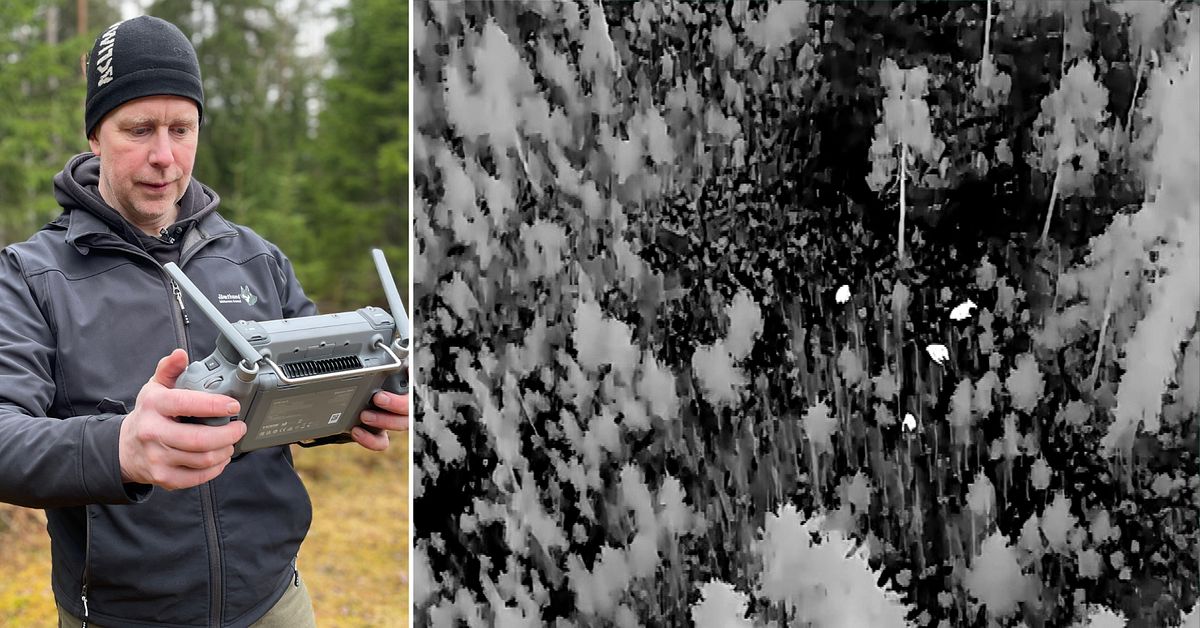 Ted tar &auml;lgr&auml;kningen till nya h&ouml;jder &ndash; med dr&ouml;nare