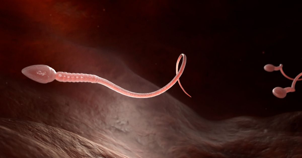 Jinsiy aloqa uyi uy bekasi