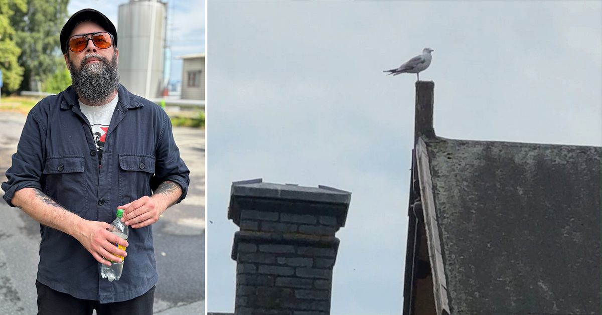 Christian slogs omkull av aggressiv m&aring;s &ndash; fick spricka i revbenet