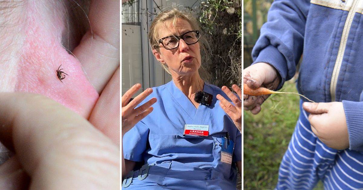Nytt klimat ger nya f&auml;stingar och smittor &ndash; s&aring; skyddar du barnen