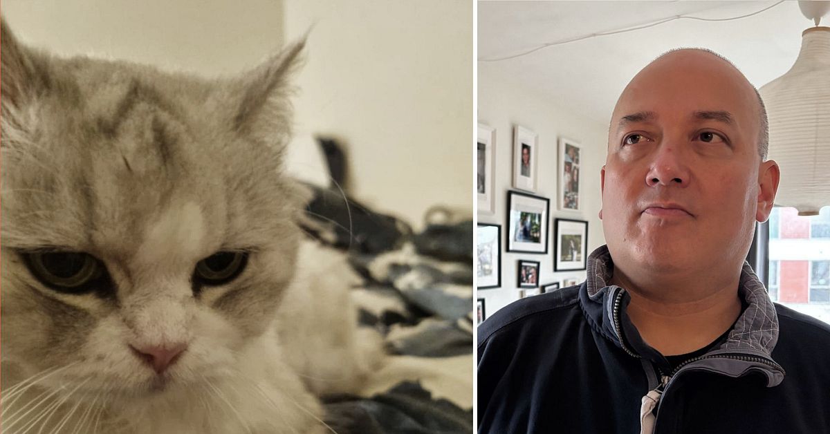 Charlie vanvårdades på kattpensionat – fick avlivas