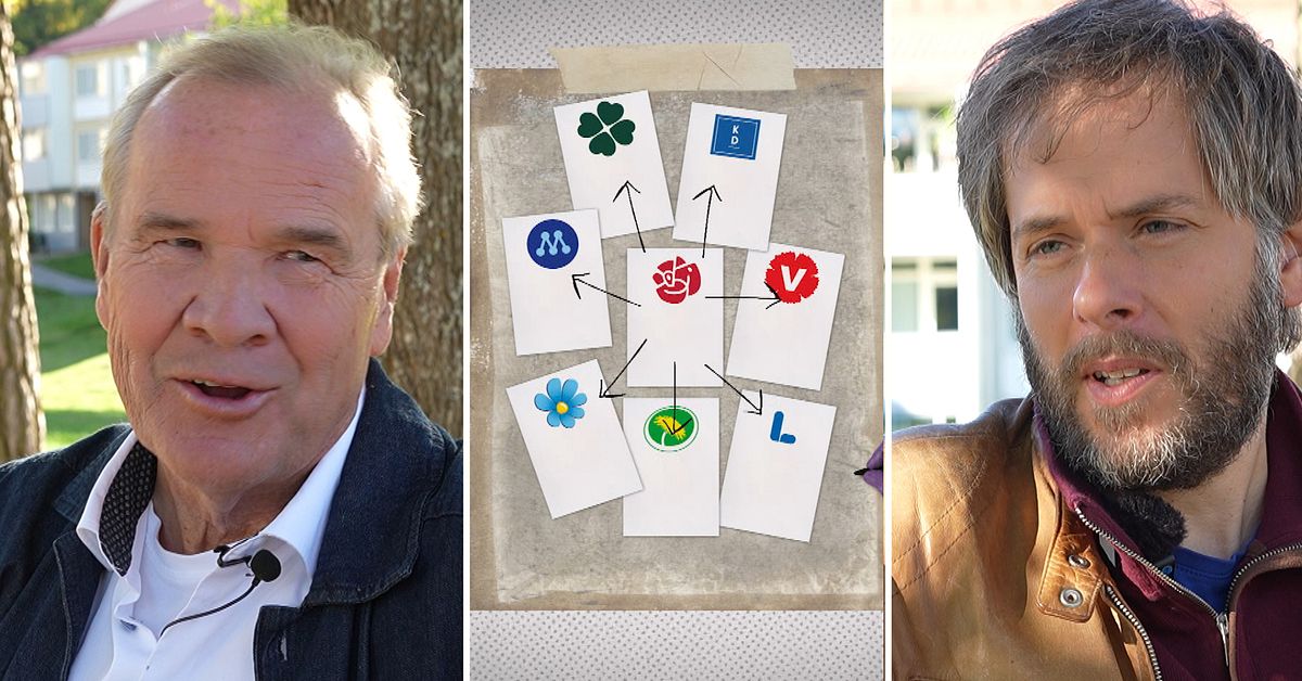 S-veteranen: Partiet har missat sina viktigaste fr&aring;gor