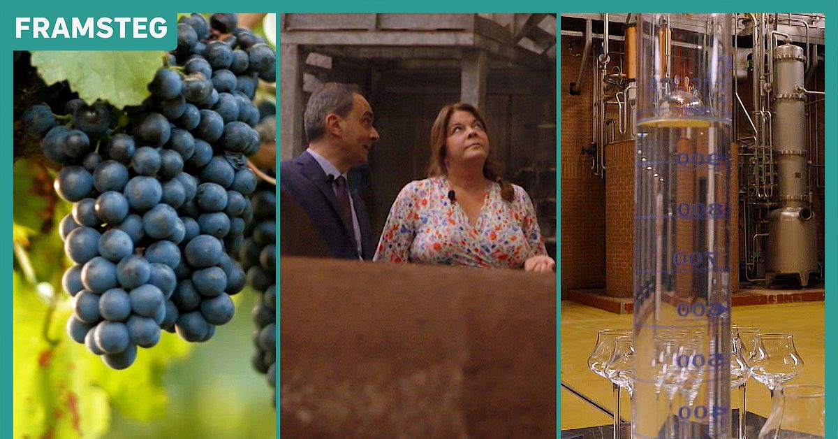 Qui i resti della grappa italiana si trasformano in energia verde