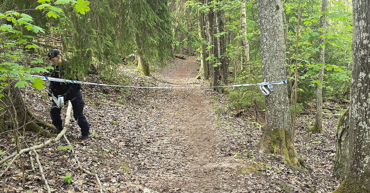 Skogsparti avsp&auml;rrat i &Aring;by utanf&ouml;r Norrk&ouml;ping