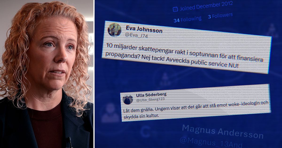 MPF: Statlig akt&ouml;r betalar f&ouml;r AI-botar som attackerar Sverige