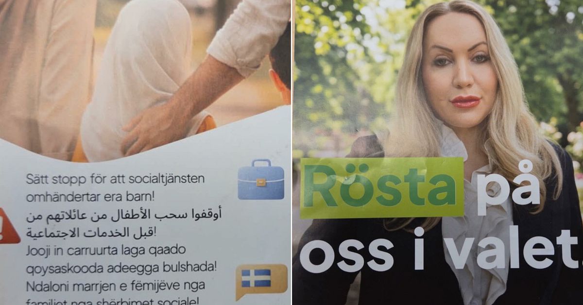 Stina Isaksson utesluts ur SD &ndash; delar beskedet i sociala medier