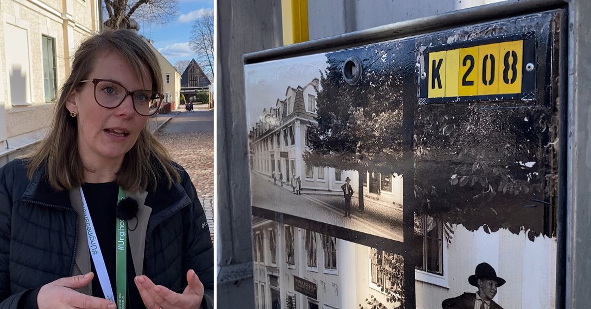 Konst på elskåp och flaggade fakturor – så ska skadegörelsen minska i ...