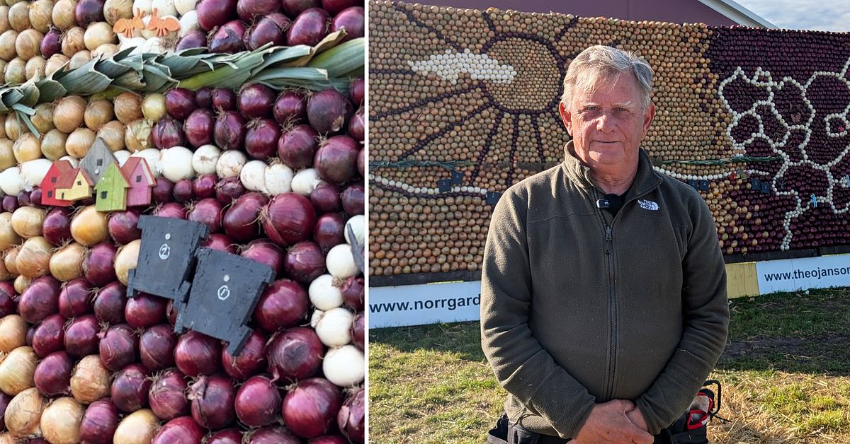 &Aring;rets l&ouml;ktavla: De nya soptunnorna som f&ouml;rfular landskapet