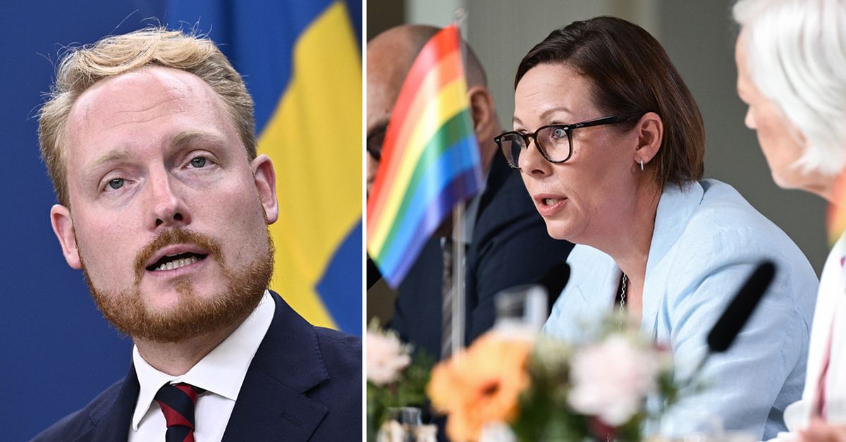 SD efter kritiken mot regeringen: Kan ställa utrikespolitiska krav