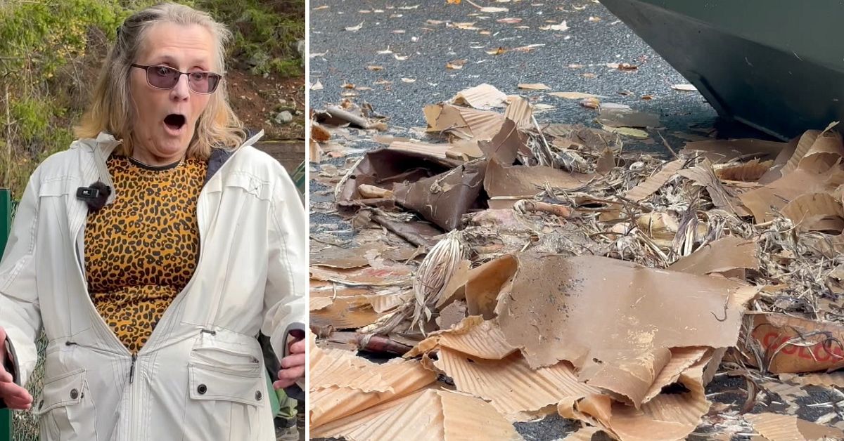 Anneli hittade d&ouml;da h&ouml;ns p&aring; &aring;tervinningsstation i &Aring;seda
