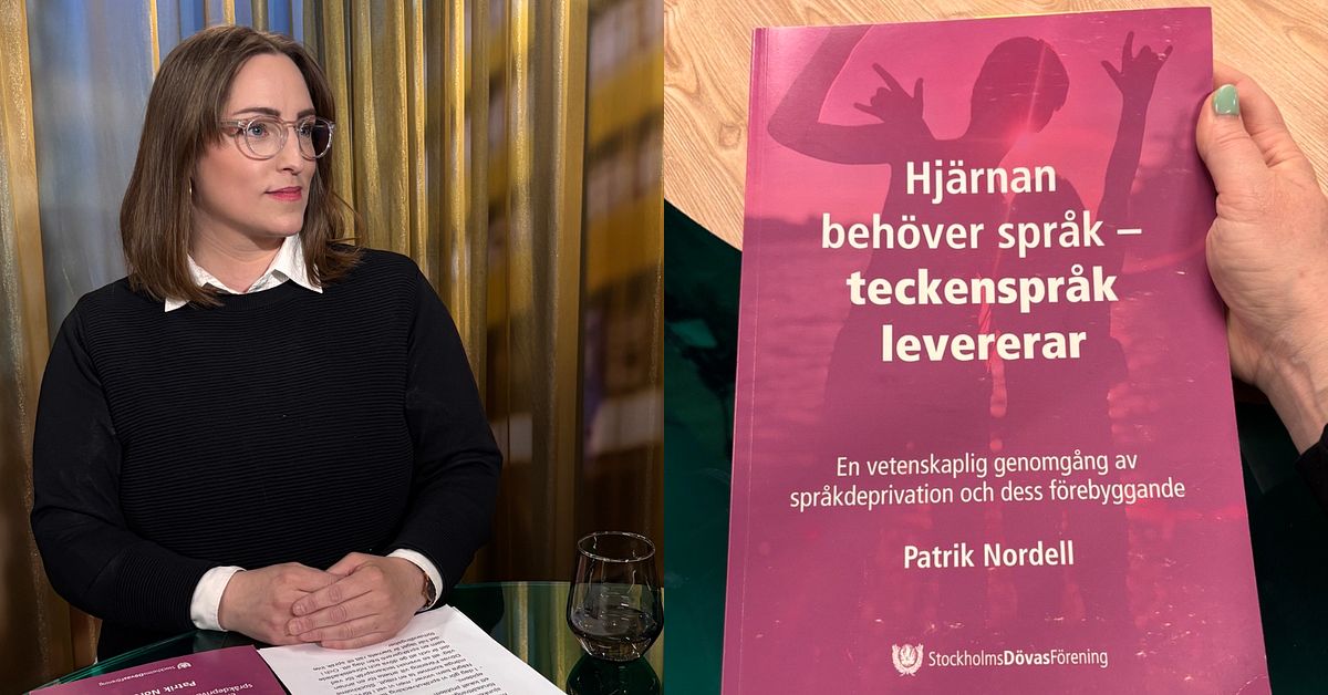 SDF: &rdquo;Tidig spr&aring;kbrist kan ge best&aring;ende f&ouml;ljder&rdquo;