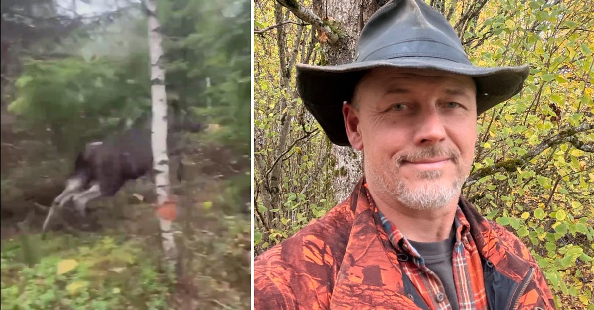 J&auml;garen Johan kom &ouml;ga mot &ouml;ga med &auml;lg i skogen: &rdquo;Riktigt n&auml;ra&rdquo;