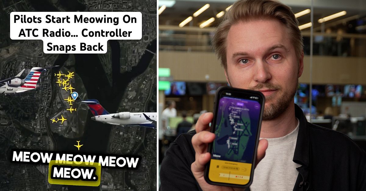 Mystiska ljuden p&aring; flygradion: &rdquo;Mjau mjau&rdquo;