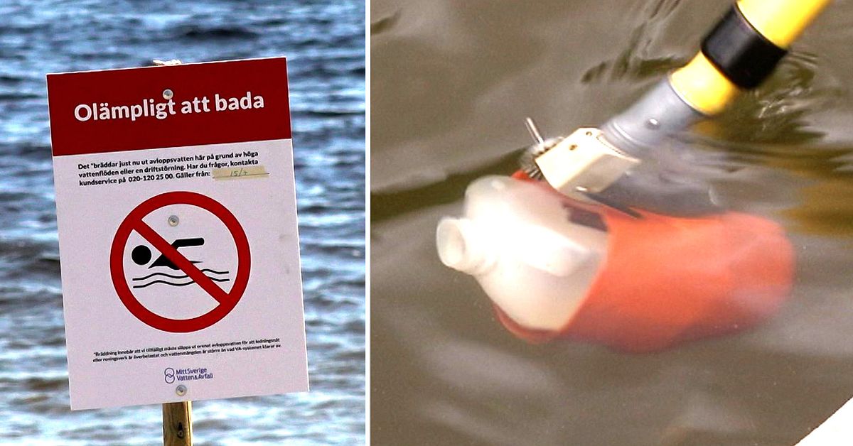 Proverna visar: Här är några av Sveriges värsta badplatser 2025