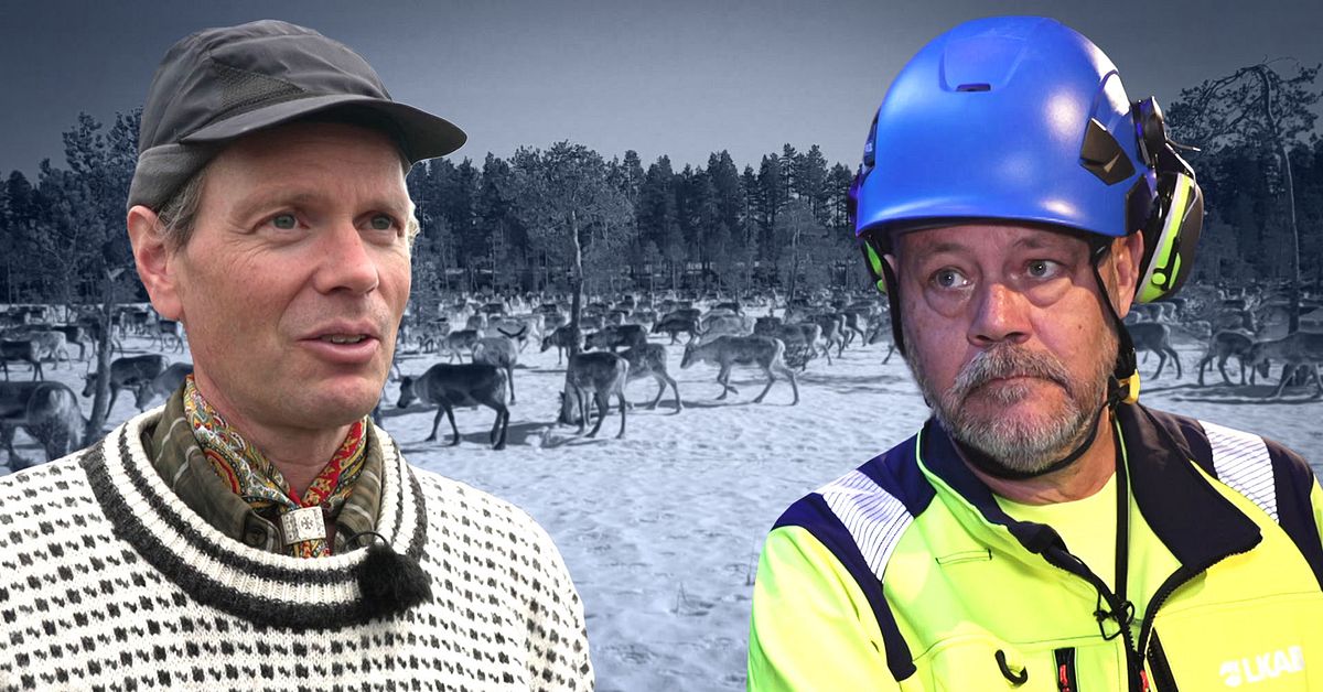 Jakten p&aring; metaller hotar renarnas sista v&auml;g f&ouml;rbi Kiruna: &rdquo;Slutet f&ouml;r samebyn&rdquo;