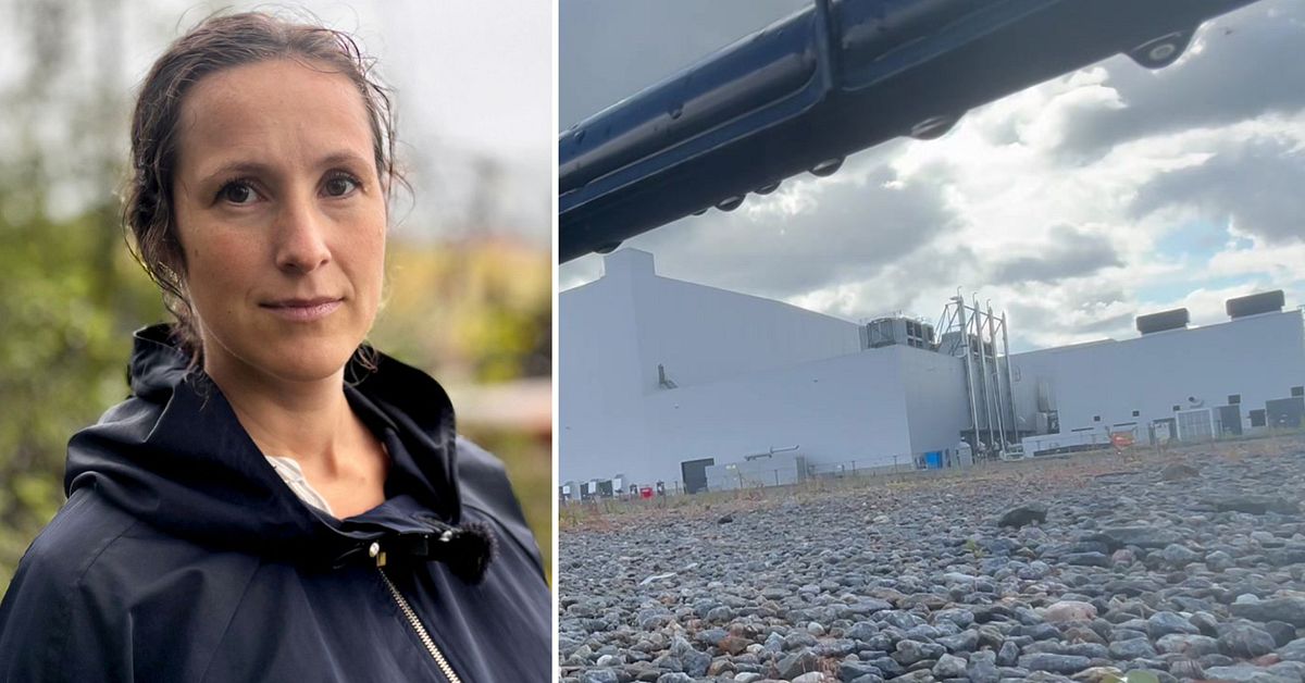 MP vill pausa  datacenterprojekt i Torsboda &ndash; men inte i Skellefte&aring;