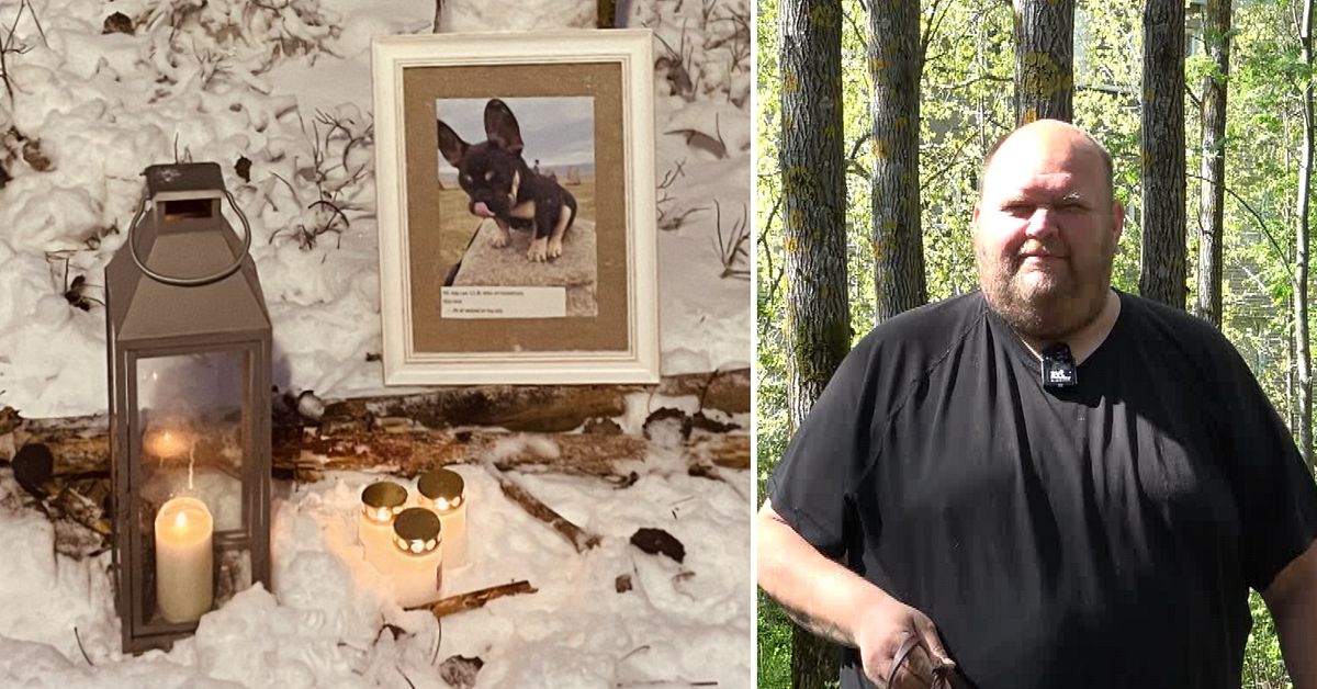 Fall om dödlig hundattack lades ner – hundägaren Jonatan i Umeå fick aldrig veta