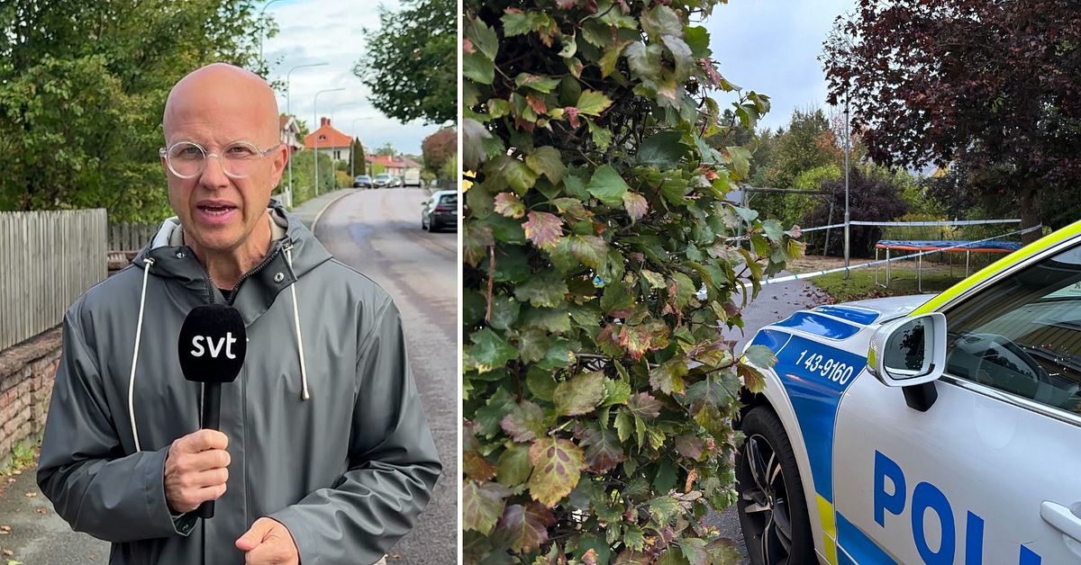 Uppgifter: Kvinna skadad vid v&aring;ldsd&aring;det i Hovsl&auml;tt &ndash; var utsatt f&ouml;r hot