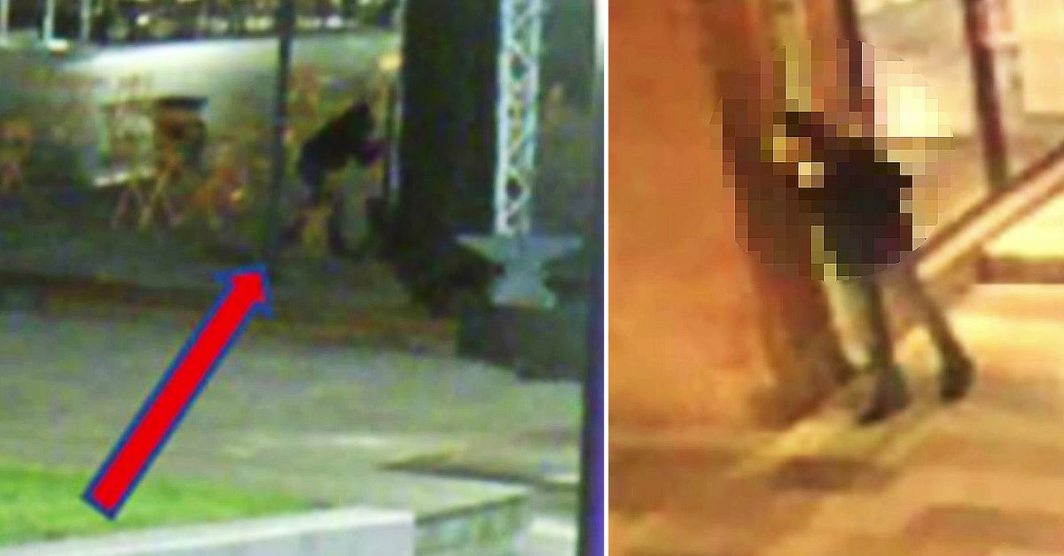 Polisen: Misstänkte mördaren kartlade sitt offer i Eskilstuna – se bilderna