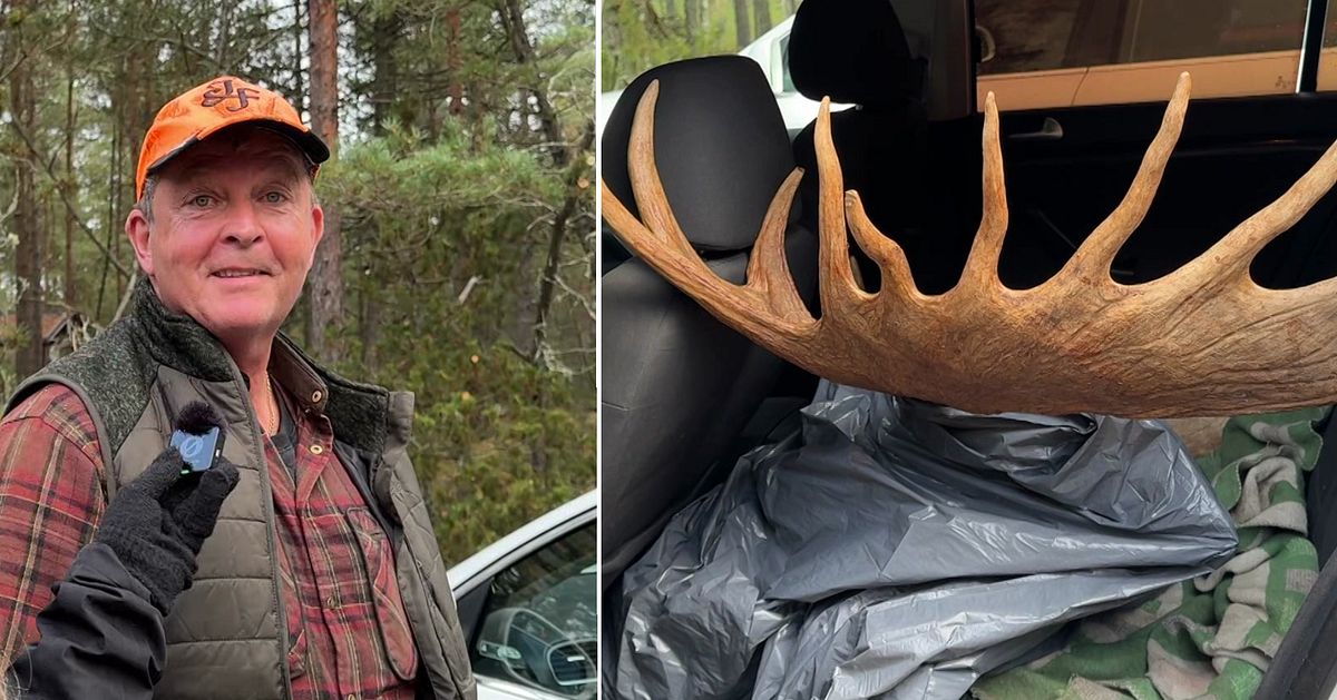 Jaktlycka direkt – SVT:s reporter följer älgjakten utanför Forsheda