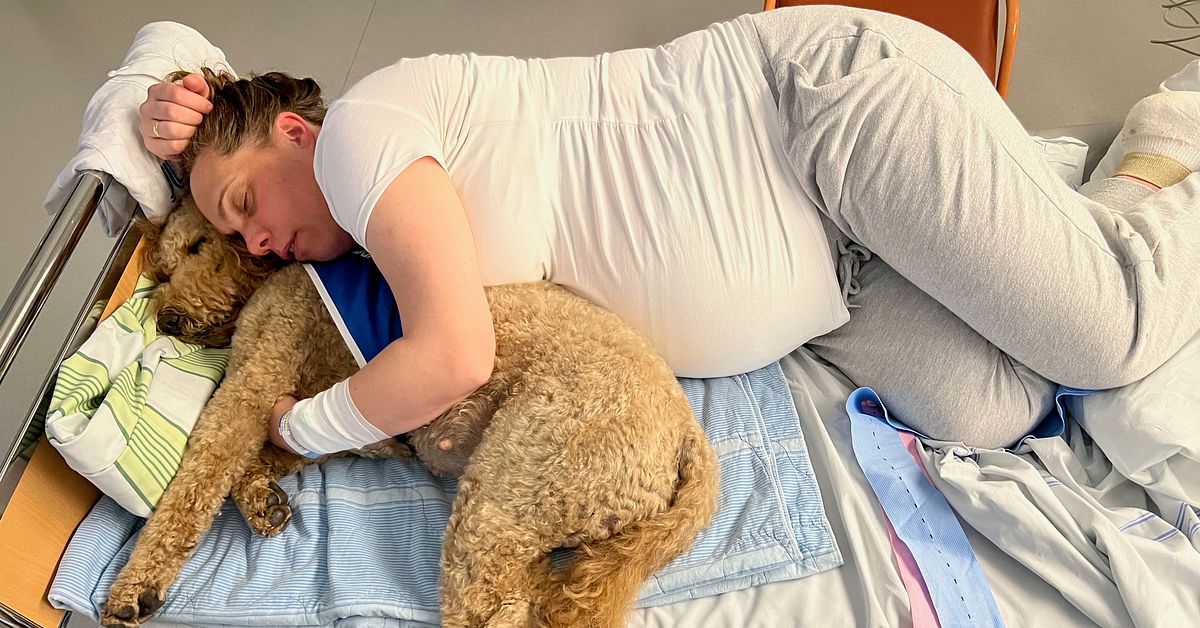 Jenny födde barn på Karolinska – med en hund som stöd