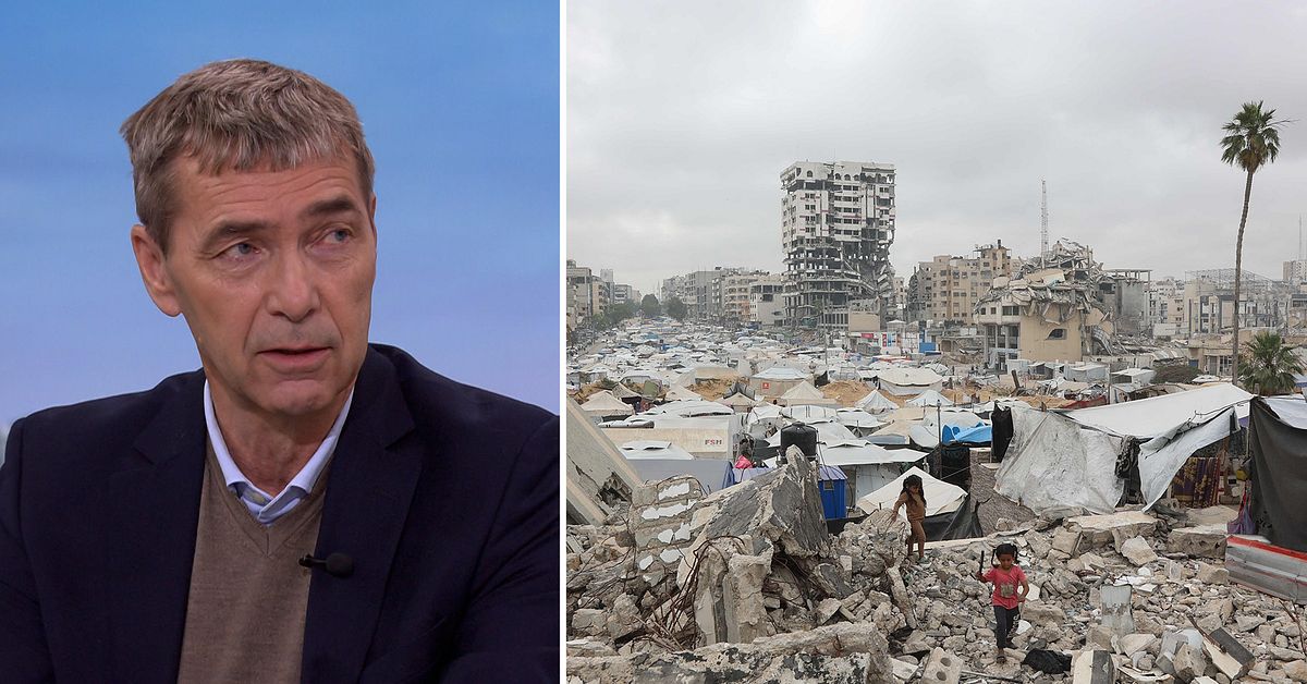 Folkrättsexperten om Gaza: Sverige har inte uppfyllt sitt ansvar