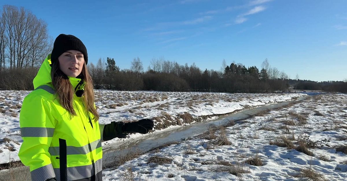 Stor v&aring;tmark v&auml;xer fram i Kolb&auml;ck: &rdquo;Nytt turistm&aring;l&rdquo;