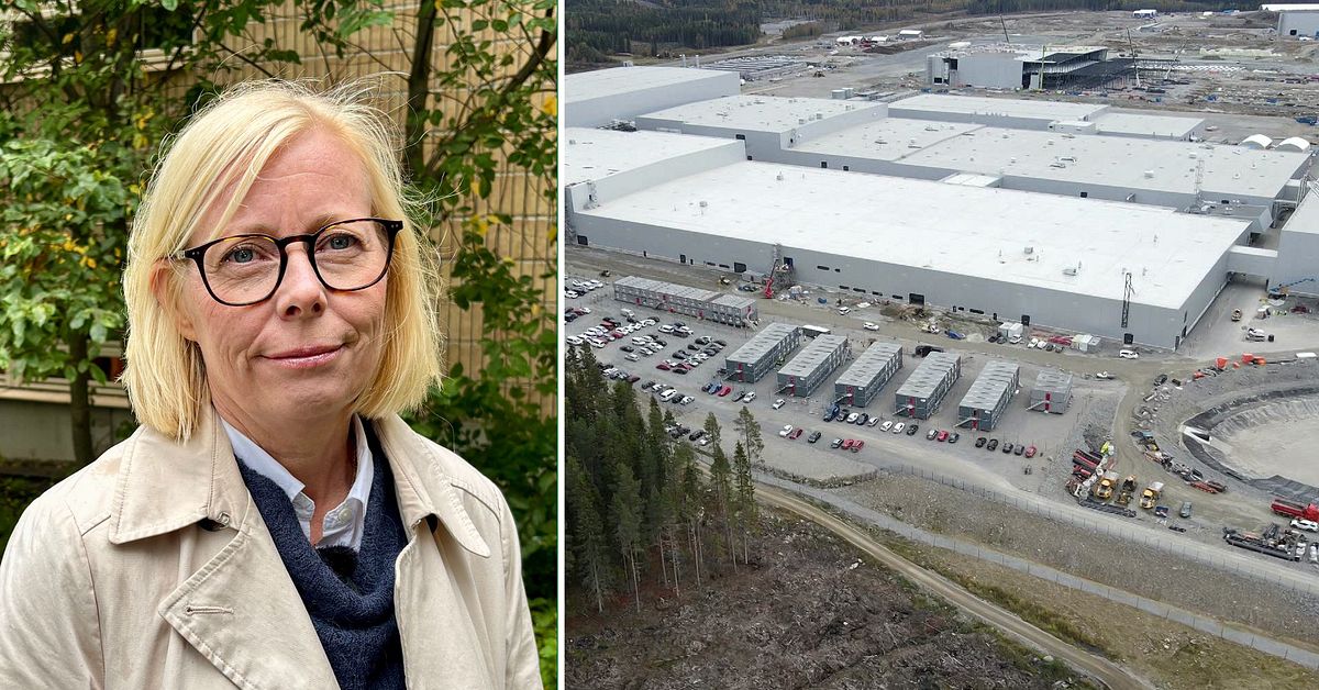 Forskare larmar: Kommuner får bära för stora risker i den gröna omställningen