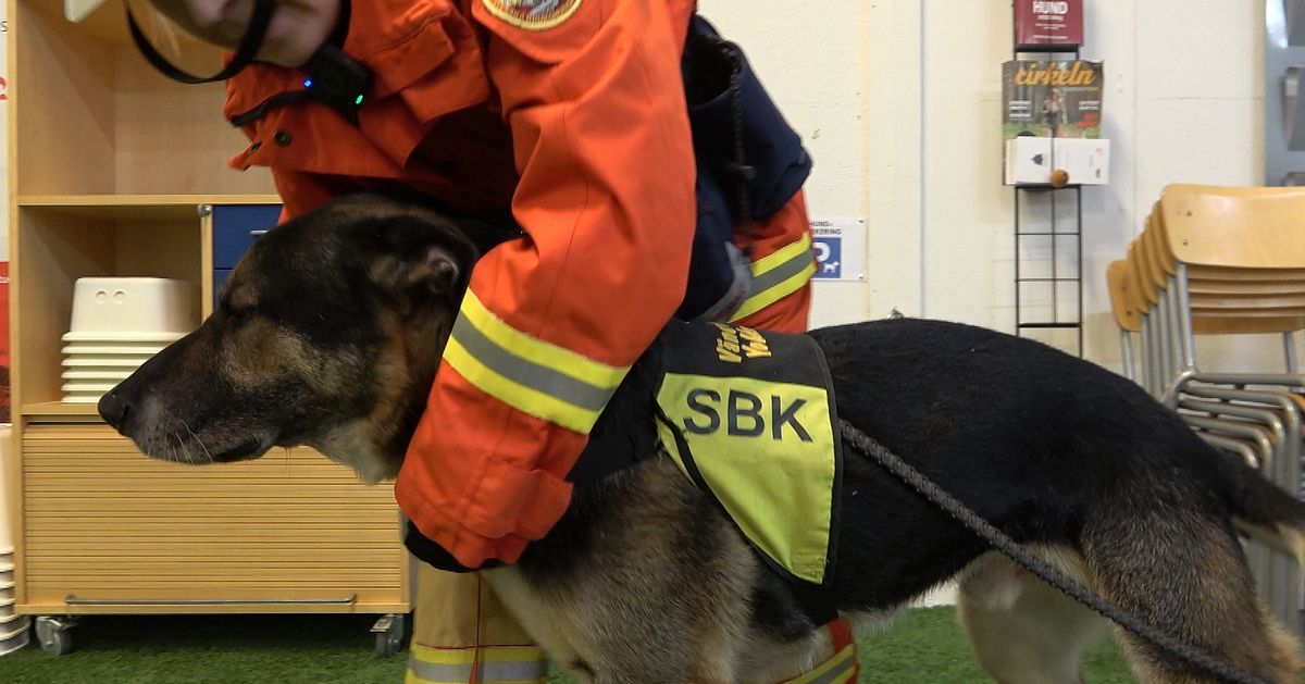 Norra Sverige saknar r&auml;ddningshundar &ndash; brukshundsklubben sl&aring;r larm