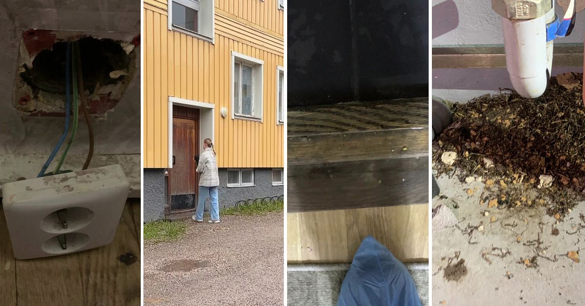 Fukt, f&ouml;rfall och r&aring;ttor &ndash; hyresv&auml;rd i Arboga riskerar h&ouml;ga viten