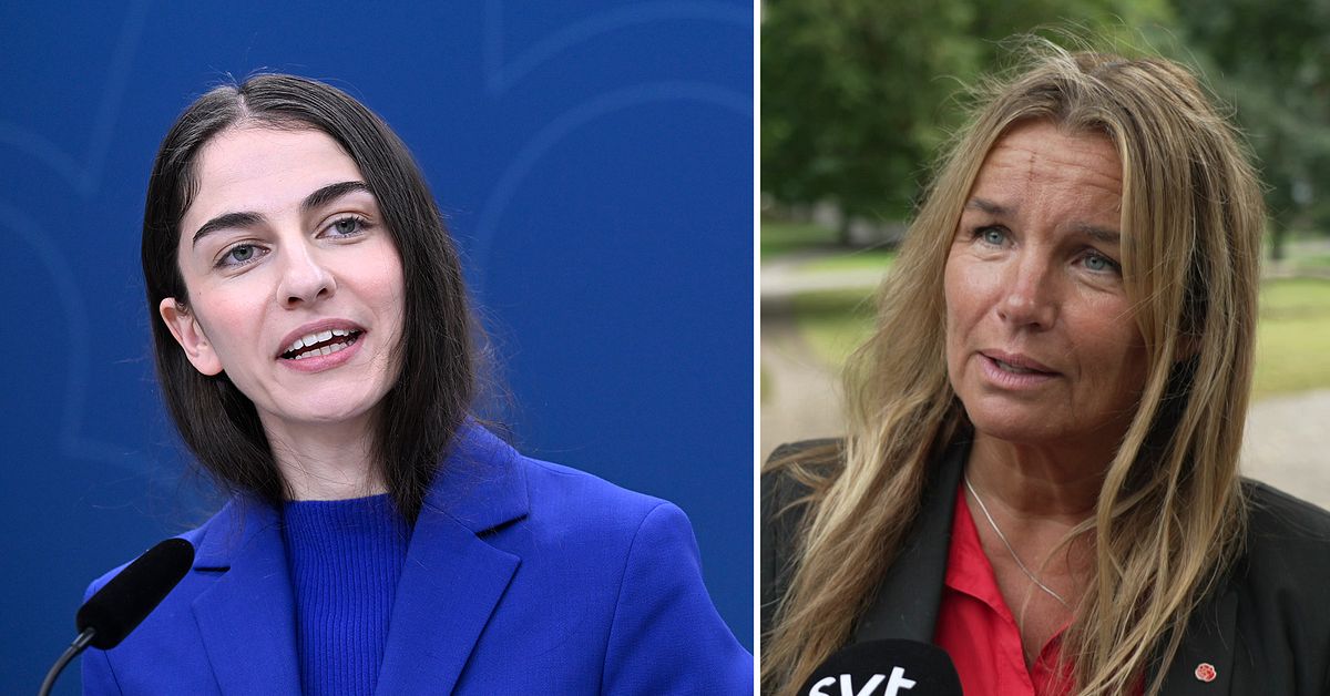 Efter SVT:s granskning: S kräver förklaring av klimatminister Romina Pourmokhtari (L)