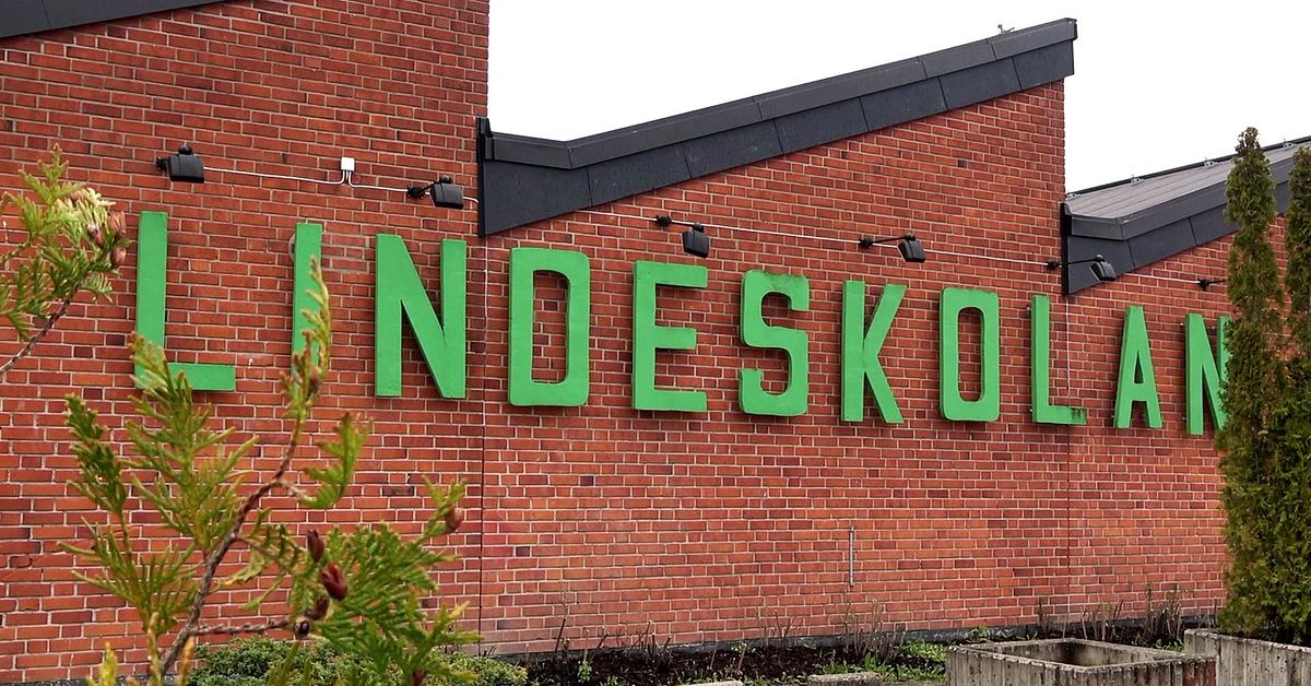 estetprogram-slopas-inte-p-lindeskolan-svt-nyheter