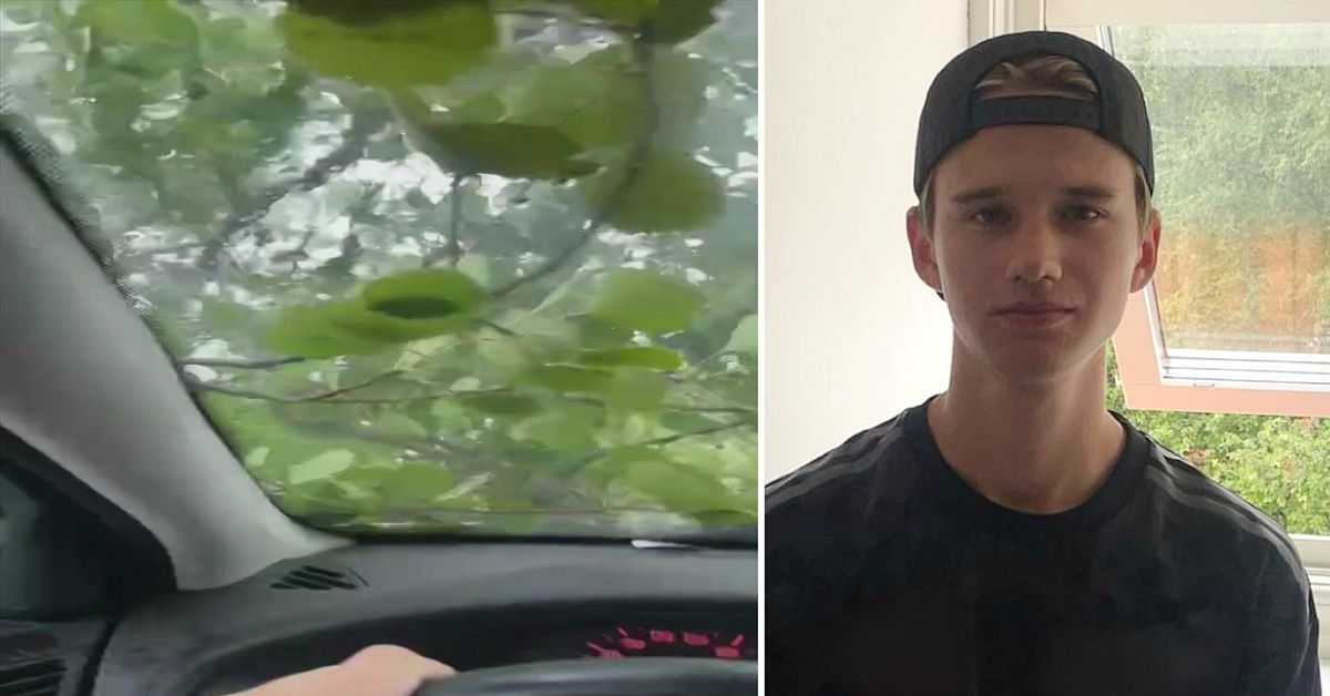 Se när trädet faller över Gustavs a-traktor: ”Hade kunnat gå illa”
