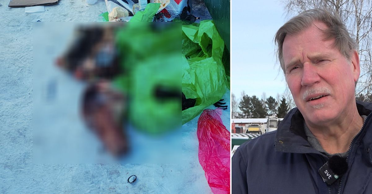 Slaktavfall l&auml;mnades p&aring; &aring;tervinningsstation i N&auml;ssj&ouml;