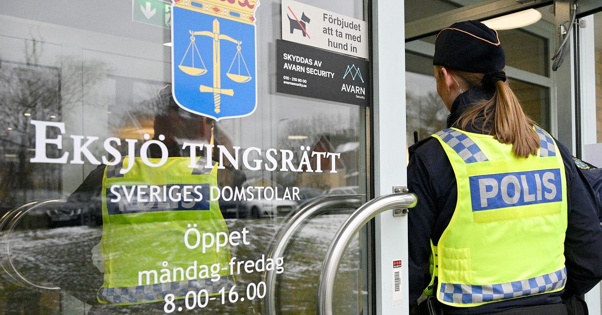 Ton&aring;ringar h&auml;ktade f&ouml;r m&auml;nniskorov i N&auml;ssj&ouml;
